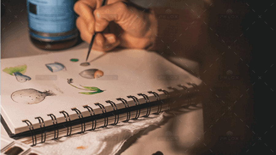 demo-attachment-422-Rectangle-70